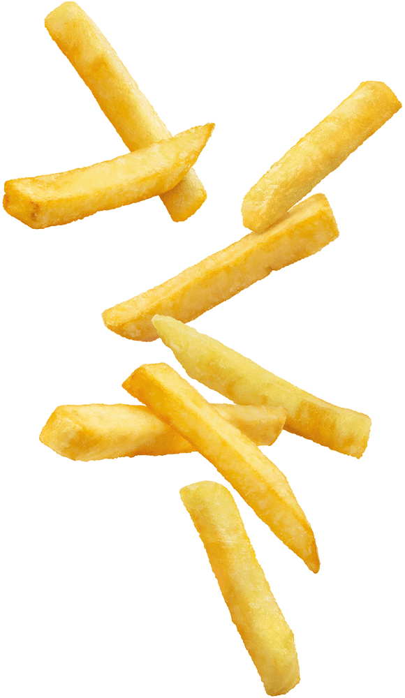 https://www.themangal.uk/wp-content/uploads/2021/01/floating_fries_02.png